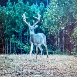 Photo #83 of 2052 Twenty-Two Road, Pamplin, VA 486.0 acres