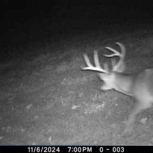 Photo #85 of 2052 Twenty-Two Road, Pamplin, VA 486.0 acres