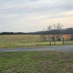 Very Good Pastures!