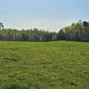 The Green, Green Grass of Home!