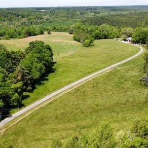 Awesome Pastures for Horses or Other Livestock!
