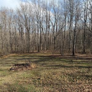 Photo #17 of 1228 Rosser Mill Road, Pamplin, VA 99.8 acres