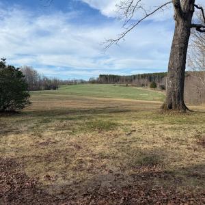 View from Farmhouse front porch