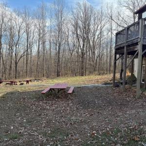 Photo #6 of 1228 Rosser Mill Road, Pamplin, VA 99.8 acres