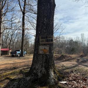 Photo #8 of 1228 Rosser Mill Road, Pamplin, VA 99.8 acres