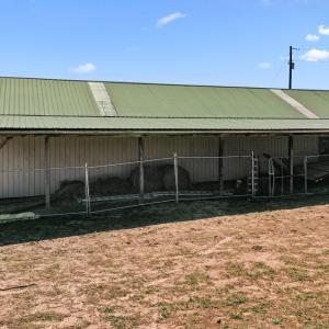 Photo #8 of 1474 Welsh Tract Rd, Charlotte Court House, VA 90.8 acres