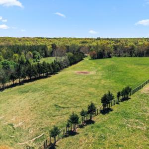 Photo #9 of 1474 Welsh Tract Rd, Charlotte Court House, VA 90.8 acres