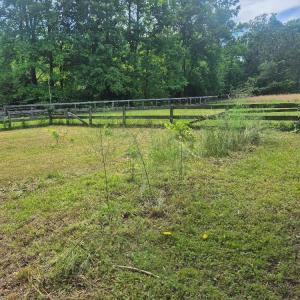 Photo #38 of 566 Holman Mill Rd., Farmville, VA 14.9 acres