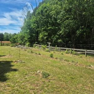 Photo #39 of 566 Holman Mill Rd., Farmville, VA 14.9 acres