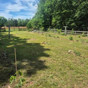Photo #40 of 566 Holman Mill Rd., Farmville, VA 14.9 acres