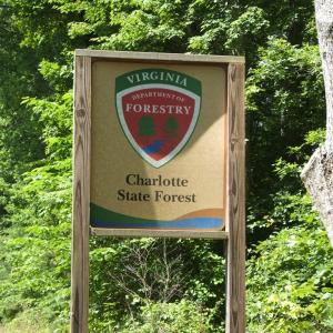 Photo #61 of 3859 Saxkey Road, Saxe, VA 21.8 acres