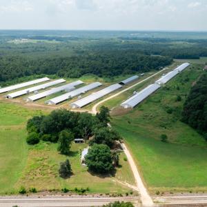 Photo #10 of 2020 W Patrick Henry Highway, Crewe, VA 125.9 acres