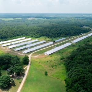 Photo #11 of 2020 W Patrick Henry Highway, Crewe, VA 125.9 acres