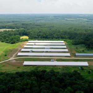 Photo #12 of 2020 W Patrick Henry Highway, Crewe, VA 125.9 acres