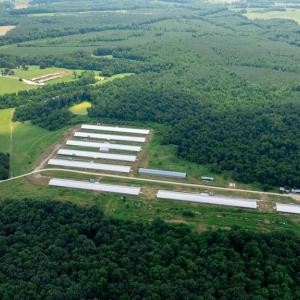 Photo #13 of 2020 W Patrick Henry Highway, Crewe, VA 125.9 acres