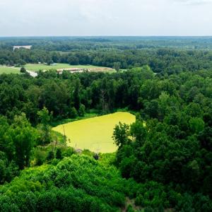 Photo #14 of 2020 W Patrick Henry Highway, Crewe, VA 125.9 acres