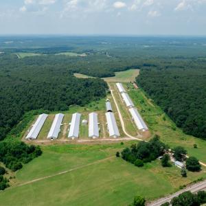 Photo #2 of 2020 W Patrick Henry Highway, Crewe, VA 125.9 acres