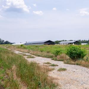 Photo #24 of 2020 W Patrick Henry Highway, Crewe, VA 125.9 acres