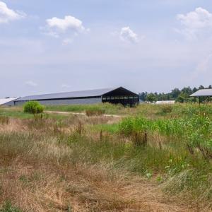 Photo #27 of 2020 W Patrick Henry Highway, Crewe, VA 125.9 acres