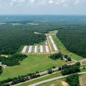 Photo #3 of 2020 W Patrick Henry Highway, Crewe, VA 125.9 acres