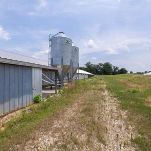 Photo #36 of 2020 W Patrick Henry Highway, Crewe, VA 125.9 acres