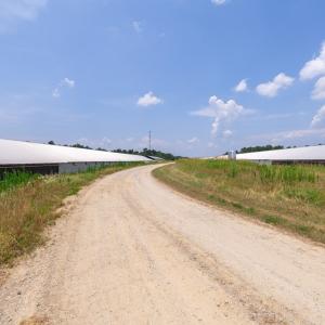 Photo #38 of 2020 W Patrick Henry Highway, Crewe, VA 125.9 acres