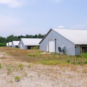 Photo #39 of 2020 W Patrick Henry Highway, Crewe, VA 125.9 acres