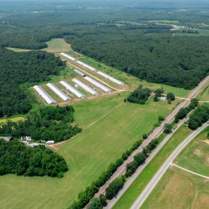 Photo #4 of 2020 W Patrick Henry Highway, Crewe, VA 125.9 acres