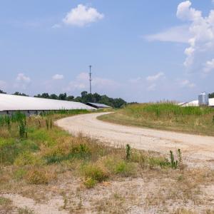 Photo #40 of 2020 W Patrick Henry Highway, Crewe, VA 125.9 acres