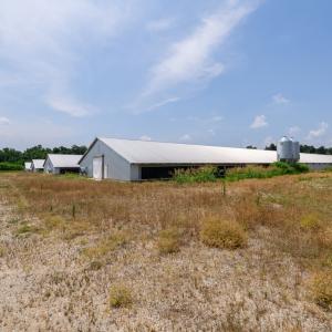 Photo #46 of 2020 W Patrick Henry Highway, Crewe, VA 125.9 acres
