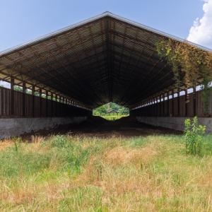 Photo #48 of 2020 W Patrick Henry Highway, Crewe, VA 125.9 acres