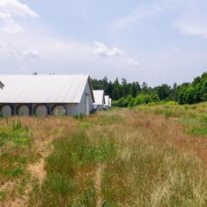 Photo #49 of 2020 W Patrick Henry Highway, Crewe, VA 125.9 acres