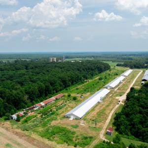 Photo #5 of 2020 W Patrick Henry Highway, Crewe, VA 125.9 acres