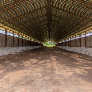 Photo #50 of 2020 W Patrick Henry Highway, Crewe, VA 125.9 acres
