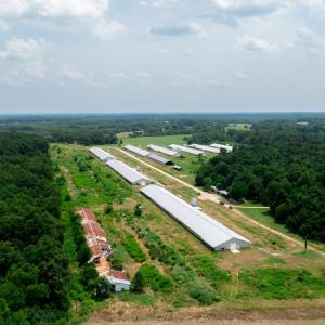 Photo #6 of 2020 W Patrick Henry Highway, Crewe, VA 125.9 acres