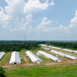 Photo #8 of 2020 W Patrick Henry Highway, Crewe, VA 125.9 acres