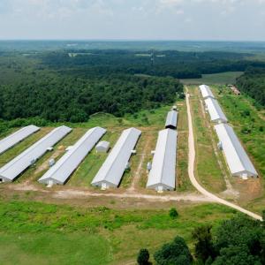 Photo #9 of 2020 W Patrick Henry Highway, Crewe, VA 125.9 acres