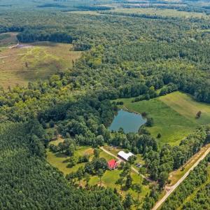 Photo #15 of 1740 Paulette Lane, Nottoway, VA 95.2 acres