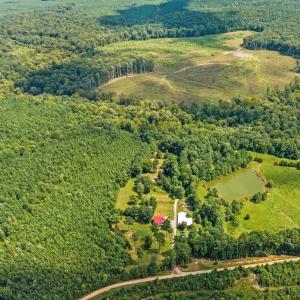 Photo #16 of 1740 Paulette Lane, Nottoway, VA 95.2 acres