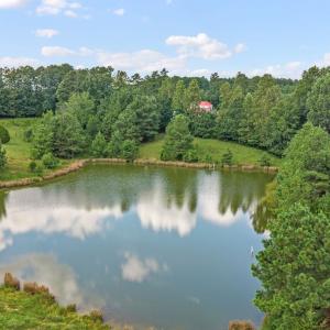 Photo #17 of 1740 Paulette Lane, Nottoway, VA 95.2 acres