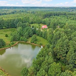 Photo #18 of 1740 Paulette Lane, Nottoway, VA 95.2 acres