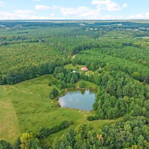 Photo #19 of 1740 Paulette Lane, Nottoway, VA 95.2 acres