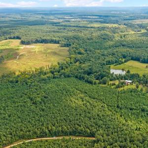 Photo #20 of 1740 Paulette Lane, Nottoway, VA 95.2 acres