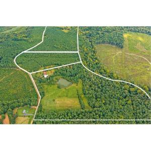 Photo #44 of 1740 Paulette Lane, Nottoway, VA 95.2 acres