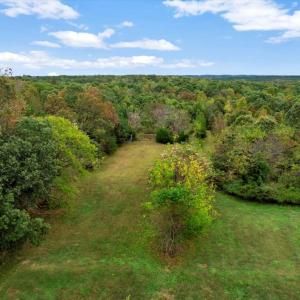 Photo #11 of 2240 S Genito Rd, Burkeville, VA 24.2 acres