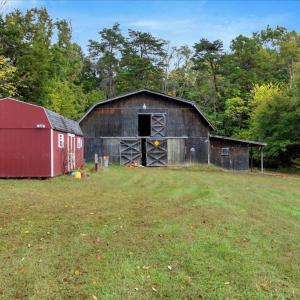 Photo #13 of 2240 S Genito Rd, Burkeville, VA 24.2 acres