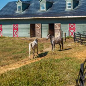 Photo #38 of 5565 Saxkey Road, Saxe, VA 91.3 acres