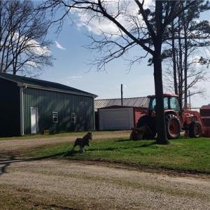 Photo #27 of 23381 Genito Rd, Amelia, VA 34.9 acres