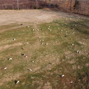 Photo #29 of 23381 Genito Rd, Amelia, VA 34.9 acres