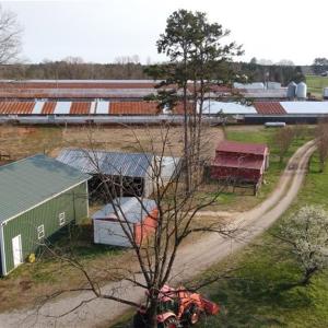 Photo #31 of 23381 Genito Rd, Amelia, VA 34.9 acres